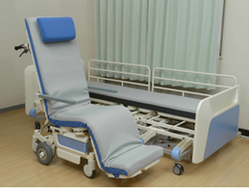 Electric Care Assistance Bed With Integrated Wheelchair