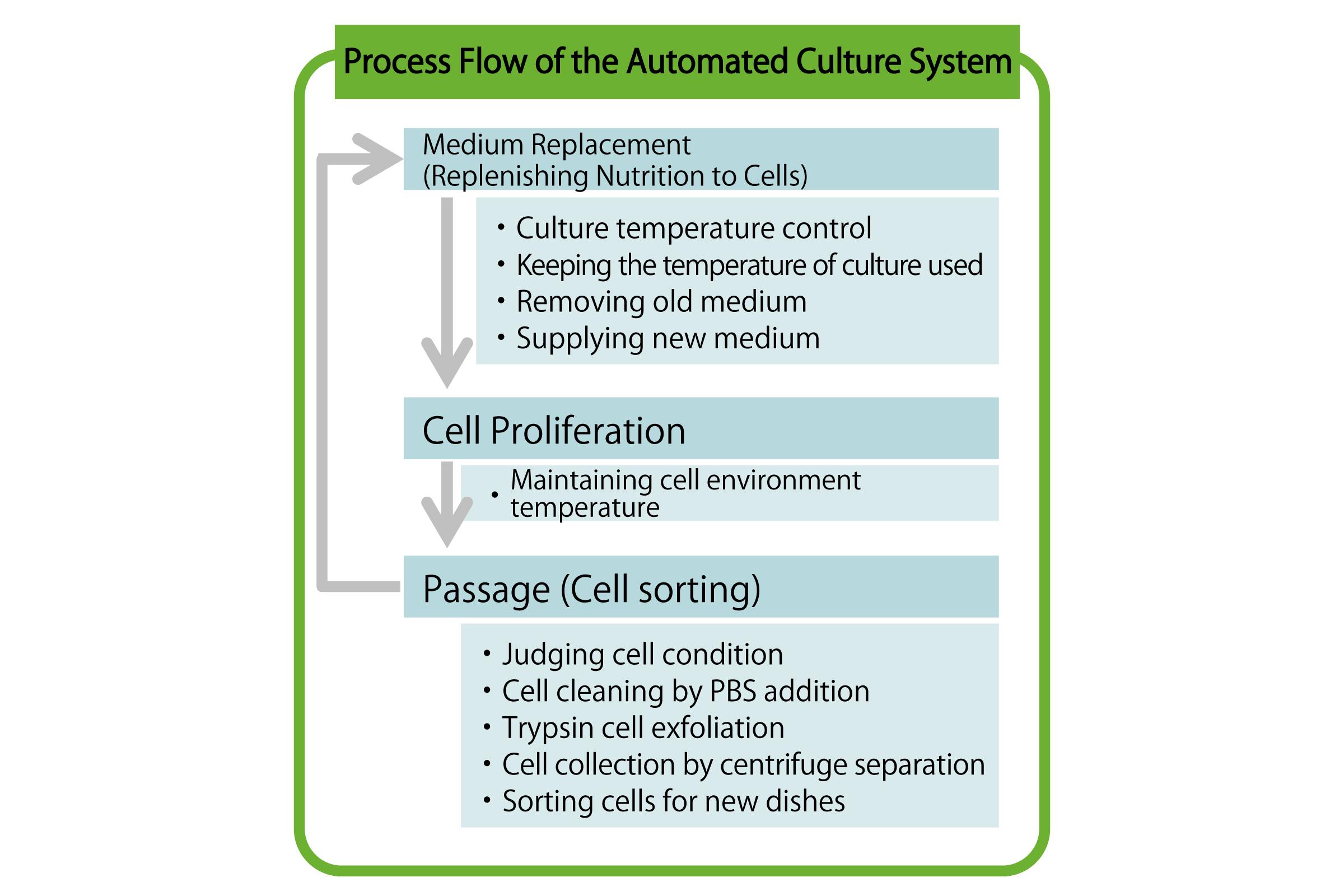 figure: Process Flow of the Automated Culture System