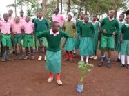 パナソニックの植樹活動事例：ケニアにて