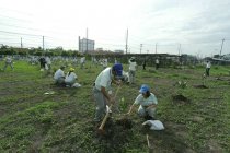 タイ：在タイのパナソニックグループ各社共同での植樹の様子