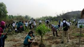 ベトナム：ニンビン省の国立野生動物公園での植樹の様子