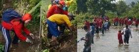 フィリピン：タネイ川沿岸での植樹の様子