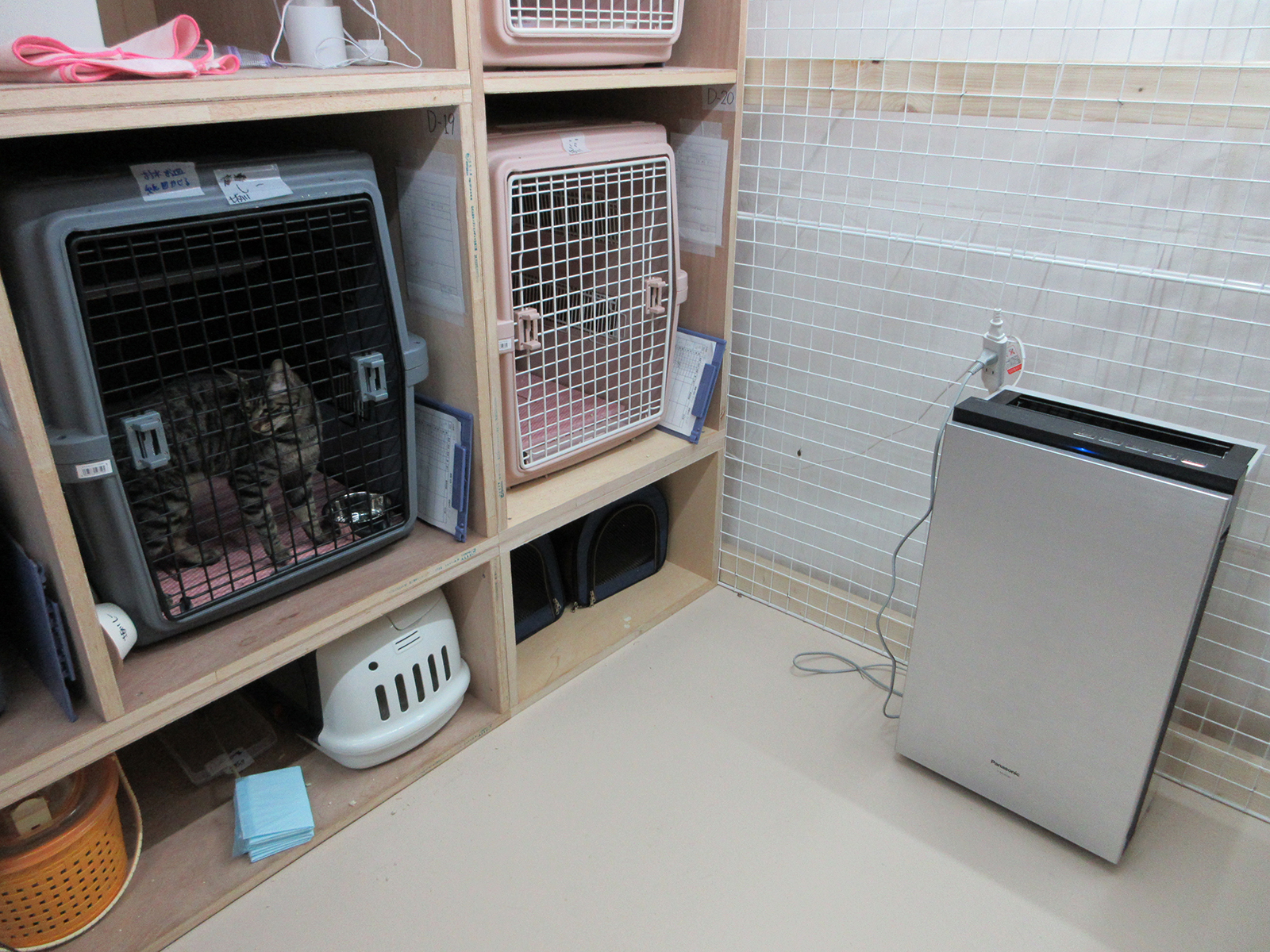 画像：猫の一時避難シェルター
