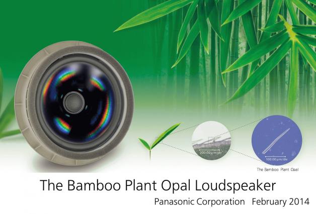01_Bamboo_Plant_Opal_Speaker_photo.jpg