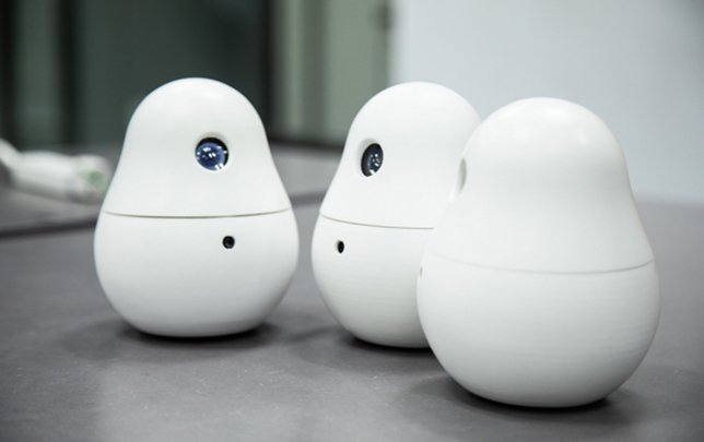 Photo: A set of new companion robots