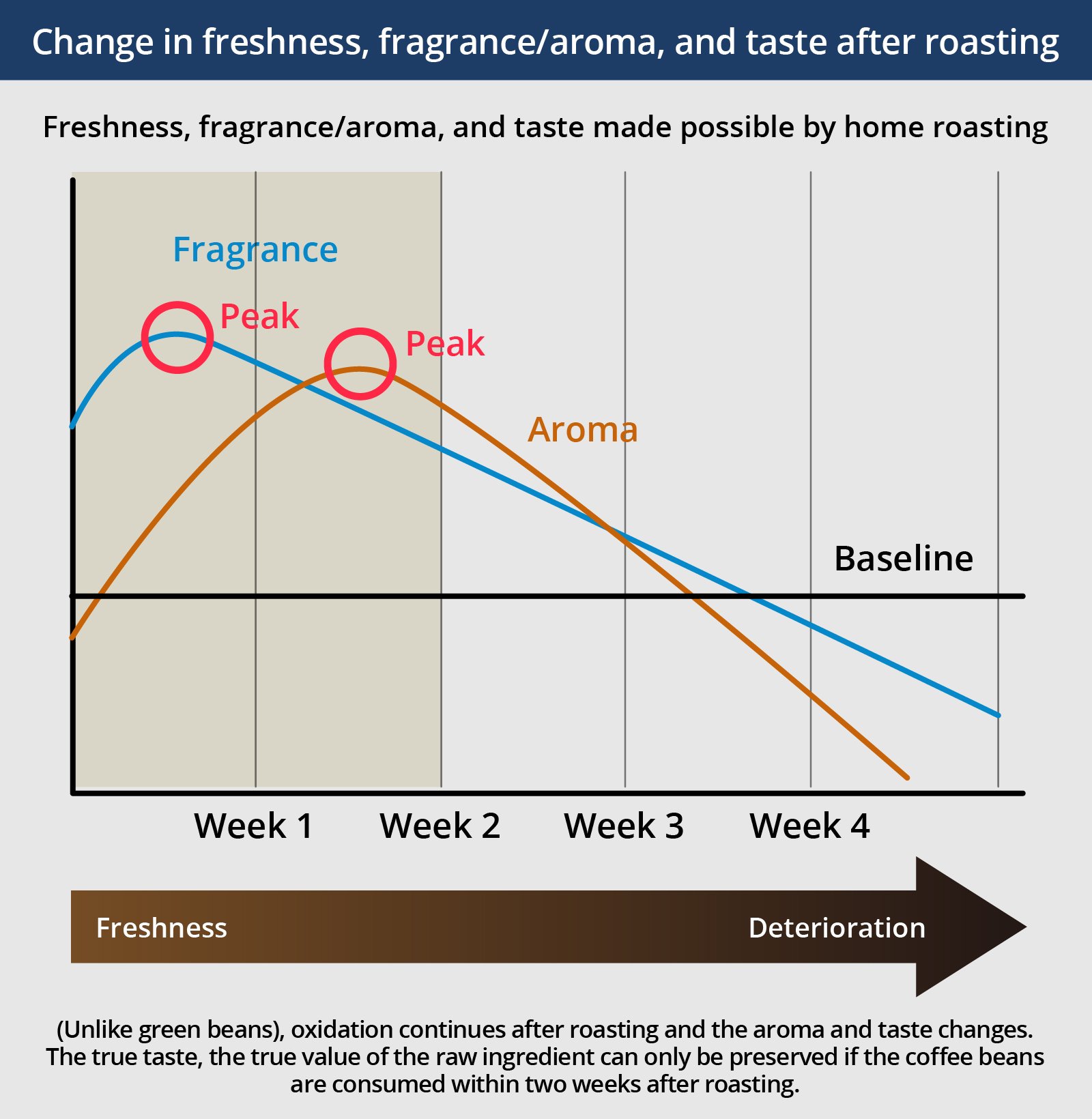 Graph: Change in freshness, fragrance/aroma, and taste after roasting. 