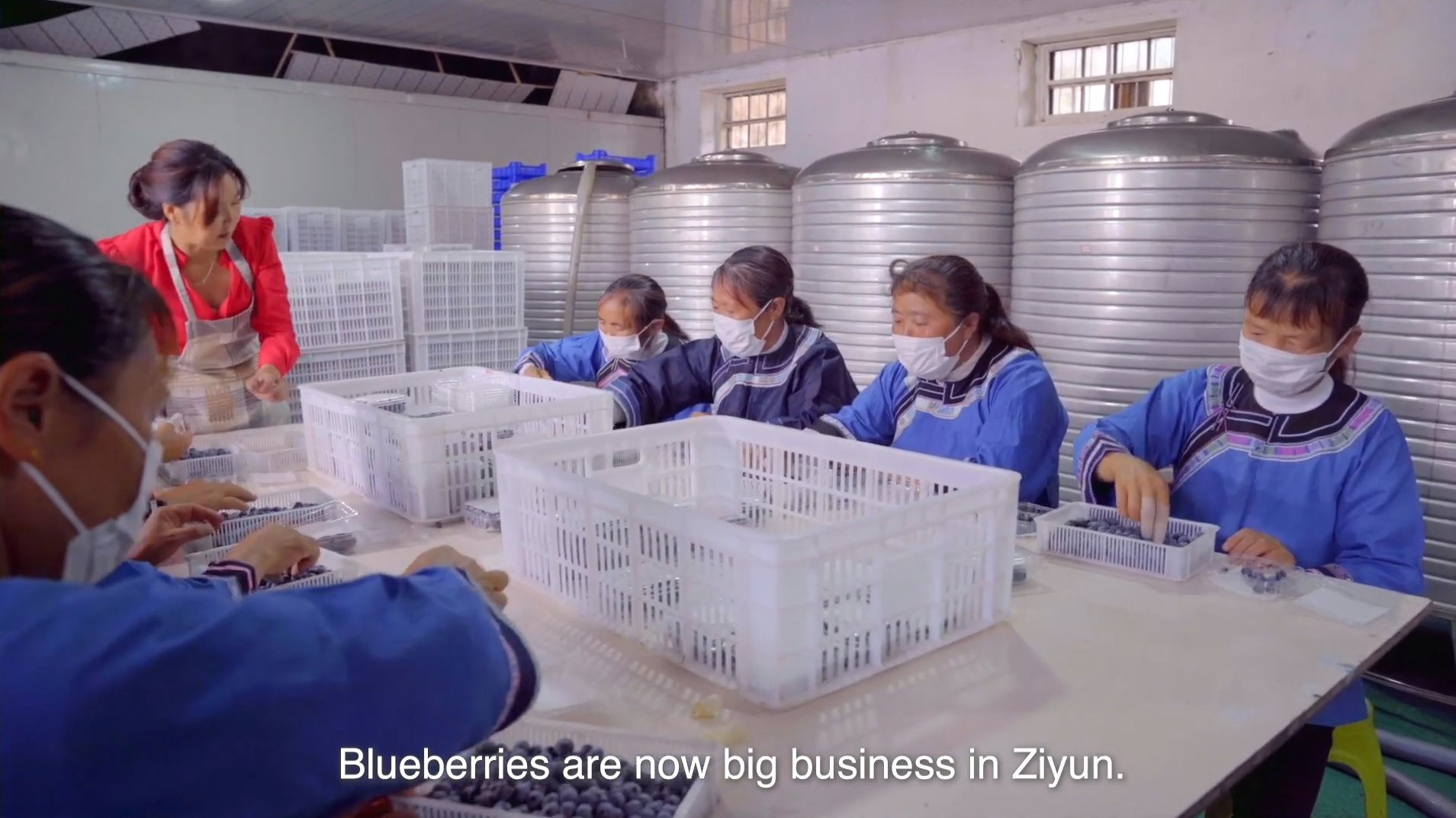 Photo: Cold Chain Solutions in Guizhou, China