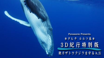Panasonic Presents 3D番組「タヒチ・ルルツ島　親子ザトウクジラを守る入江」