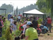 木の育て方について学ぶ子どもたち（メキシコ）