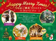 パナソニックセンター大阪「今年は”ご褒美”クリスマス」開催（2015年11月20日～12月25日）