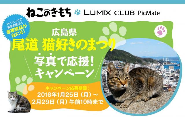 NRR2016142319_0-thumb-640xauto