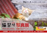 パナソニックが「尾道イーハトーヴ 猫祭り2016 フォトコンテスト写真展」を開催