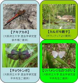 おおさか生物多様性パートナー協定 の第一号として締結 プレスリリース Panasonic Newsroom Japan