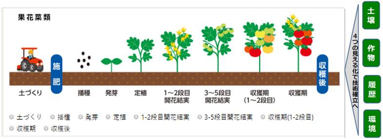 「土壌」「作物」「栽培履歴」「環境」の4つの見える化イメージ