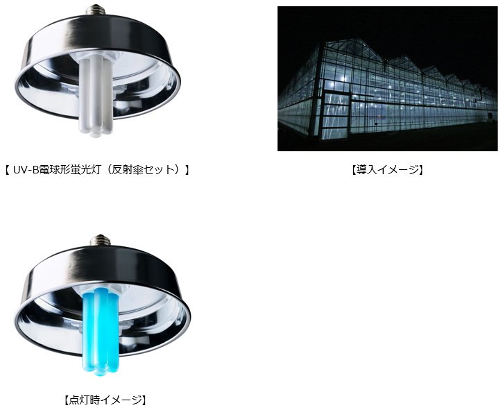 UV-B電球形蛍光灯（反射傘セット）、点灯時イメージ、導入イメージ