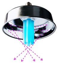 UV-B電球形蛍光灯 点灯イメージ
