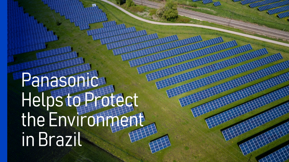 Protecting the Environment in Brazil