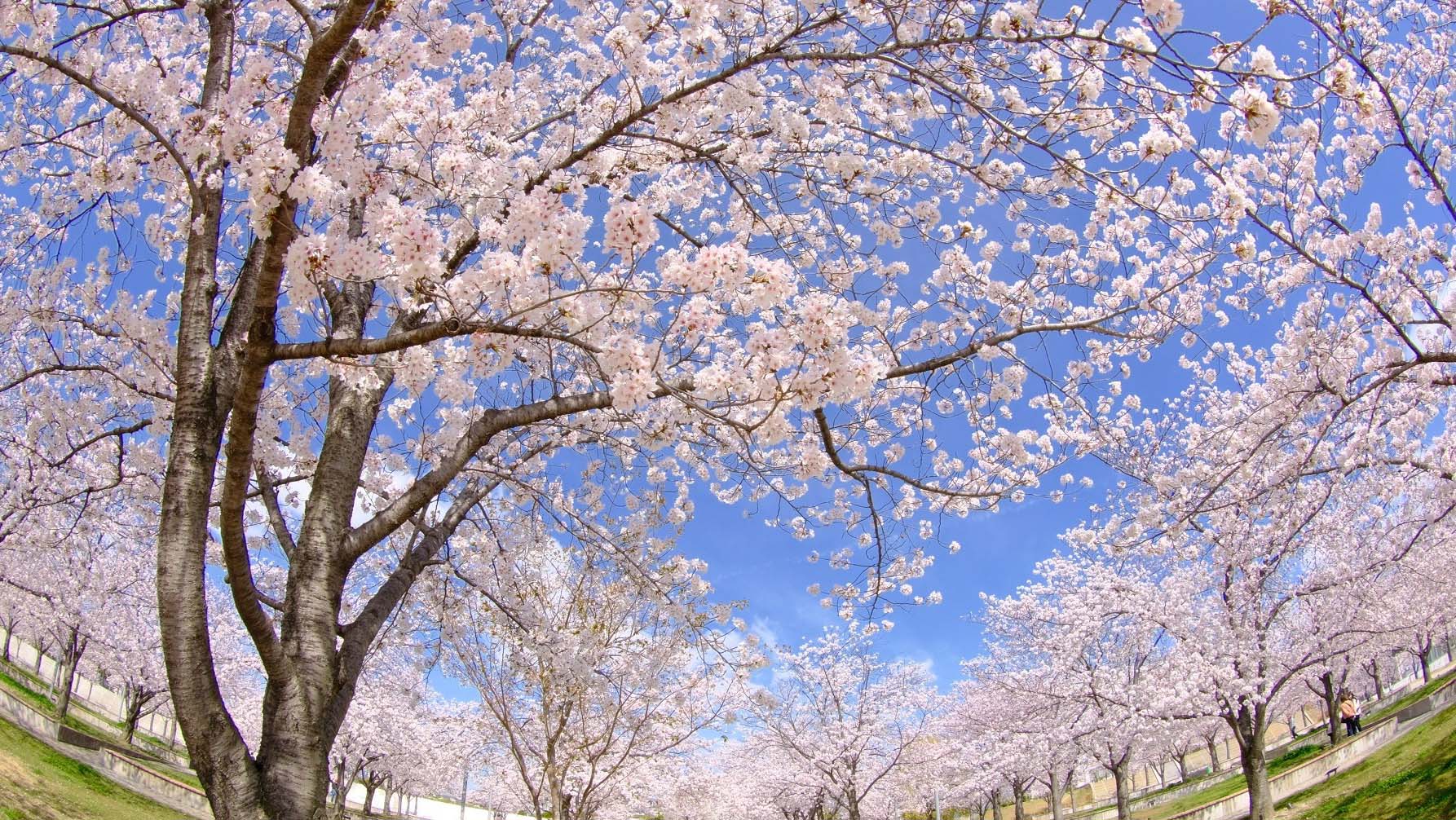 新社会人の皆さんへ・・・私がパナソニックの新入社員に話したこと