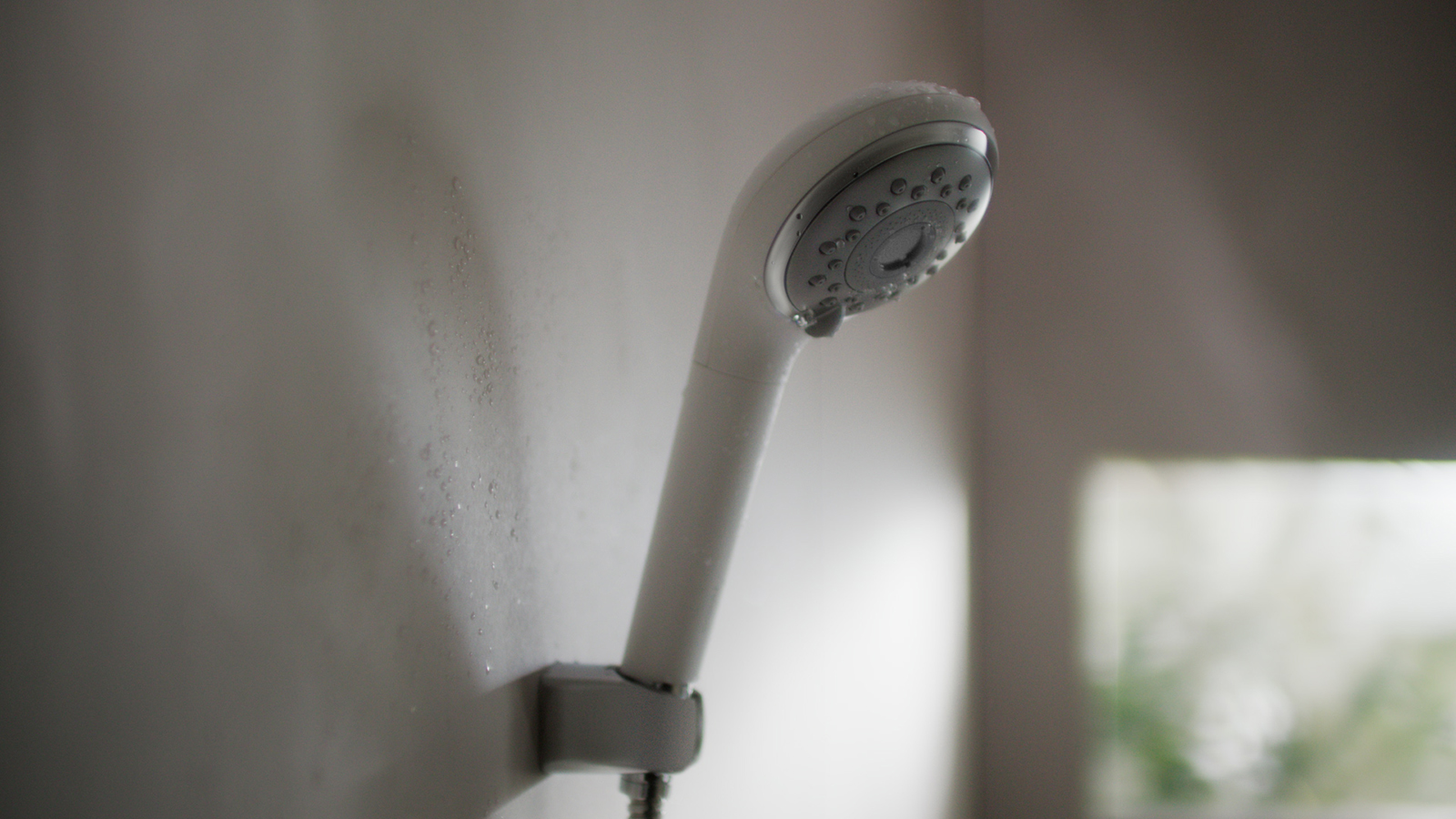 ファインバブルシャワーヘッド「FINE VEIL（ファインベール）」EH-SH50