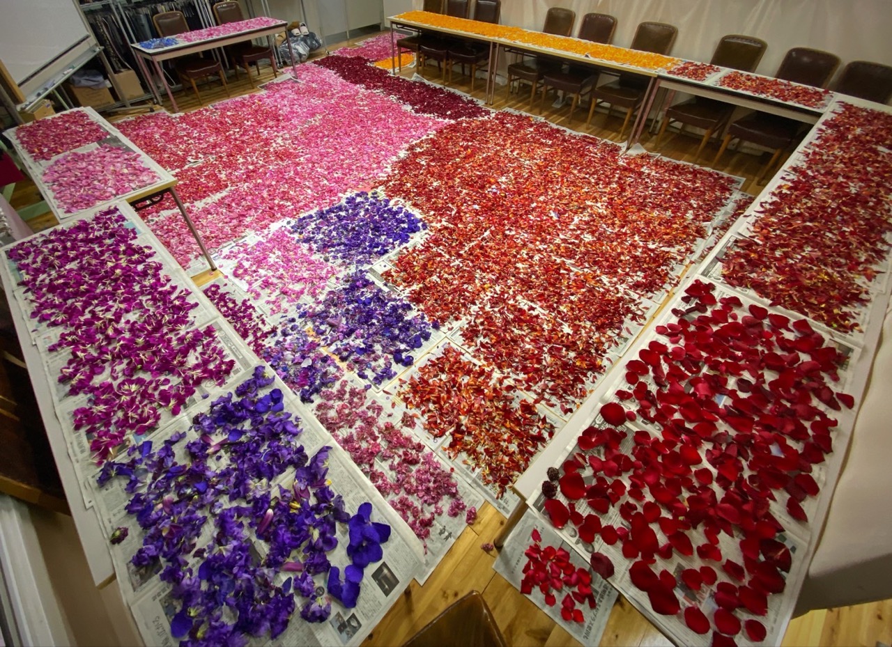 写真：約2万本の生花から花弁を集め、2.6kgの乾燥花として保管