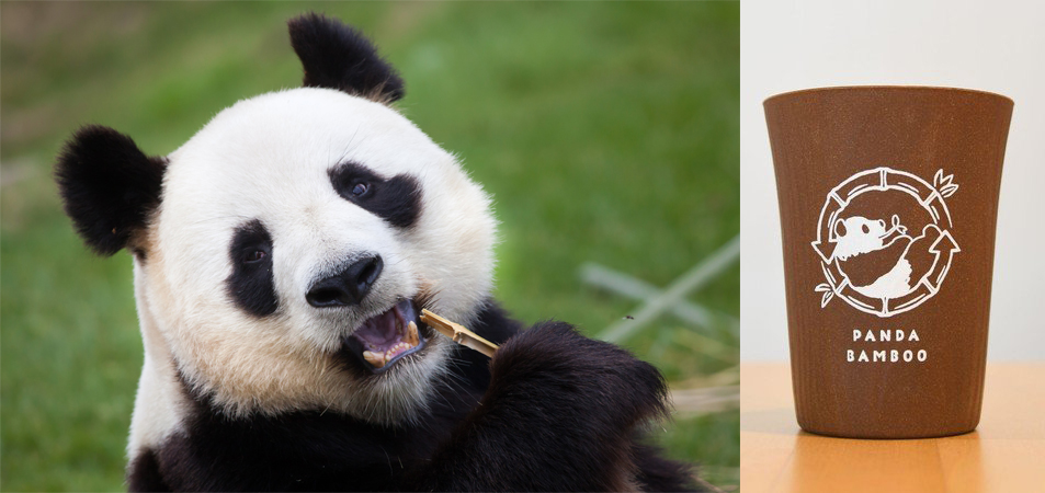 写真：パンダ（左）、「パンダバンブータンブラー」（右）