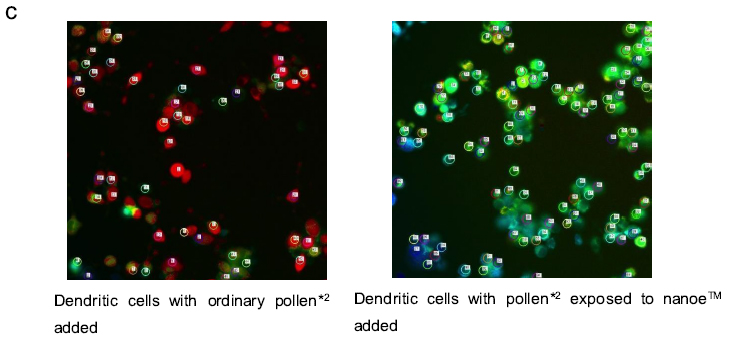image: Results 2 Dendritic cells with ordinary pollen*2 added, Dendritic cells with pollen*2 exposed to nanoe(TM) added
