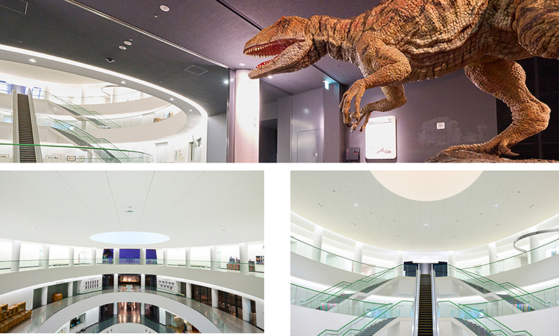 画像：福井県立恐竜博物館