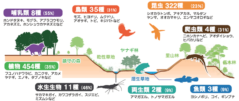 図版：「共存の森」に暮らす動植物