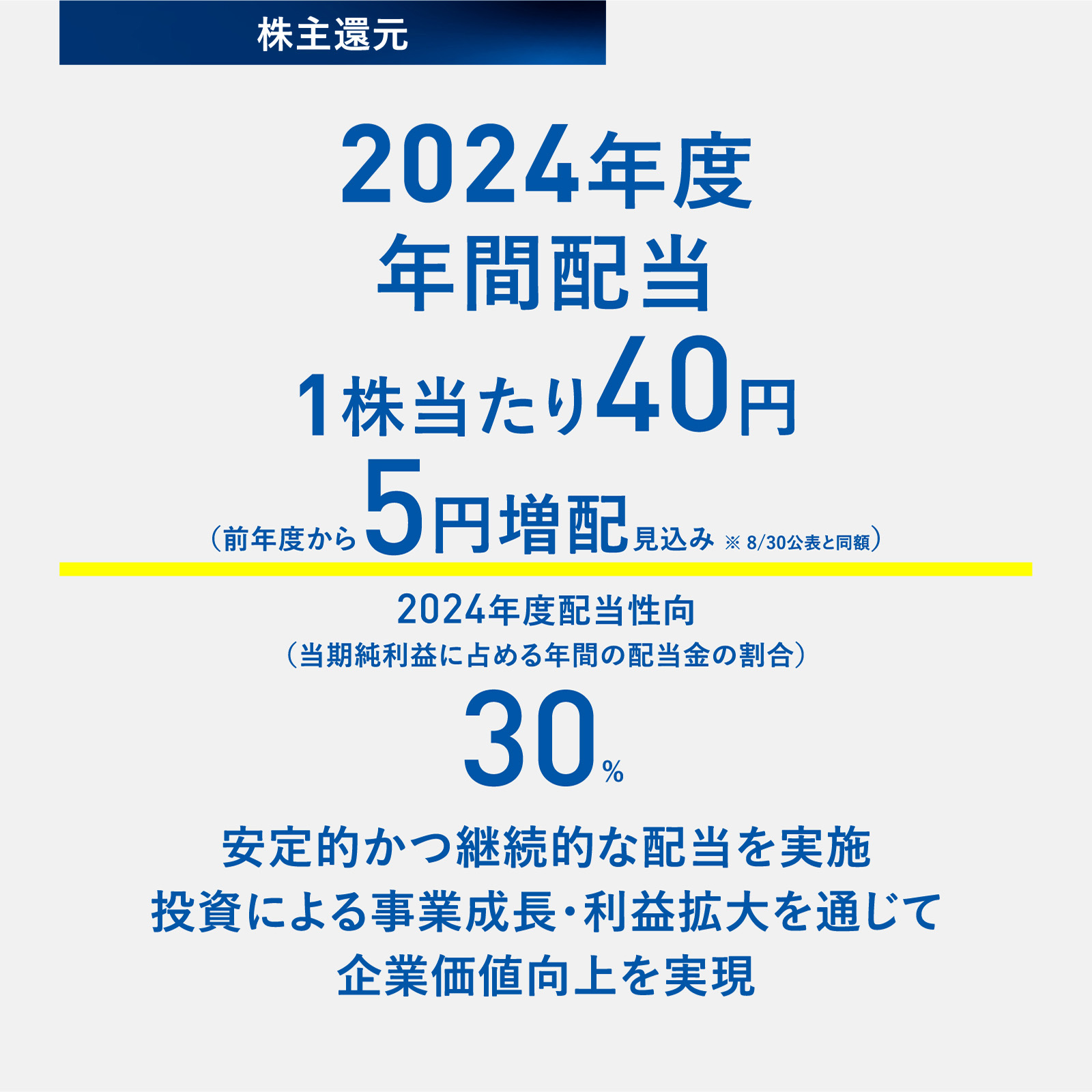 図版：株主還元：2024年度 年間配当 1株当たり40円（前年度から5円増配見込み ※8/30公表と同額）。2024年度配当性向（当期純利益に占める年間の配当金の割合）30%　安定的かつ継続的な配当を実施。投資による事業成長・利益拡大を通じて企業価値向上を実現