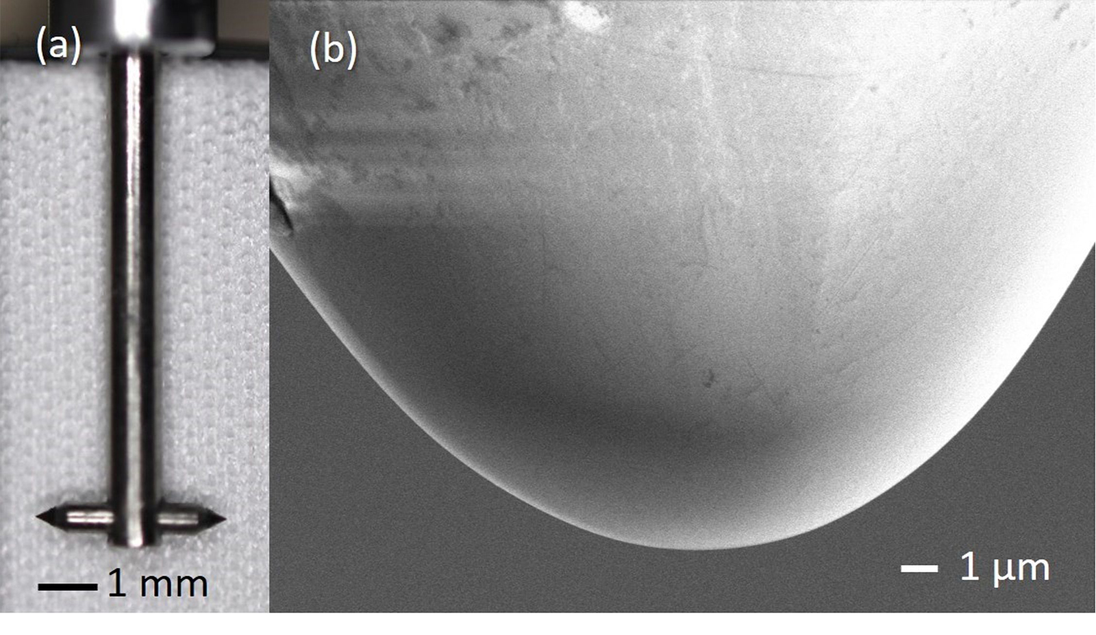 （a）開発したT型先鋭スタイラスと（b）スタイラス先端（片側）の走査電子顕微鏡（SEM）画像