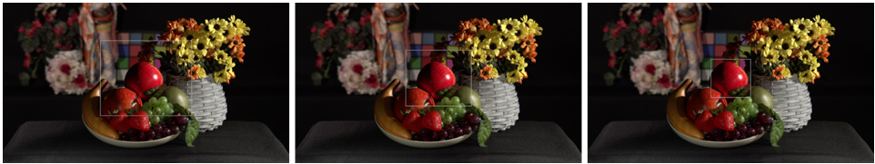 image: The area size can be selected from “Large,” “Medium,” or “Small”.