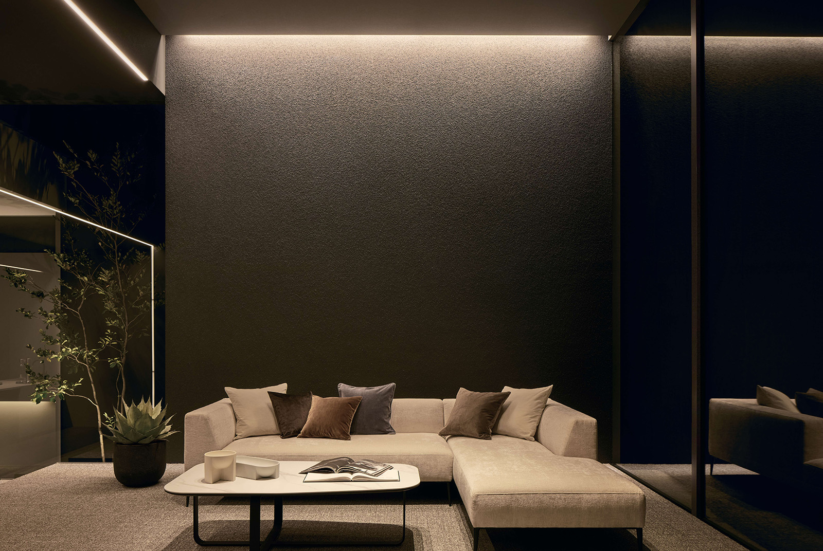 集光タイプ設置イメージ