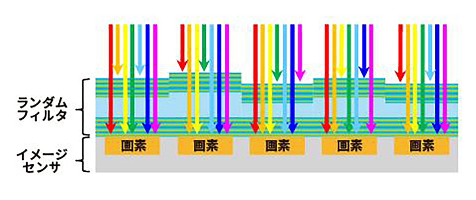 特殊フィルタイメージ2