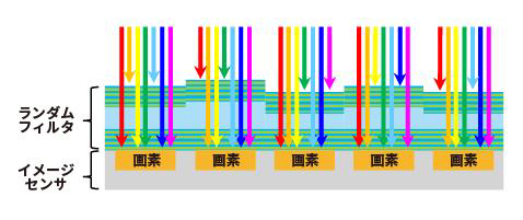 画像：特殊フィルタイメージ2
